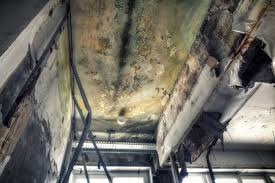 Best Mold Remediation for Healthcare Facilities  in Lilburn, GA